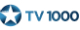 Логотип канала TV1000