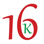 16 канал