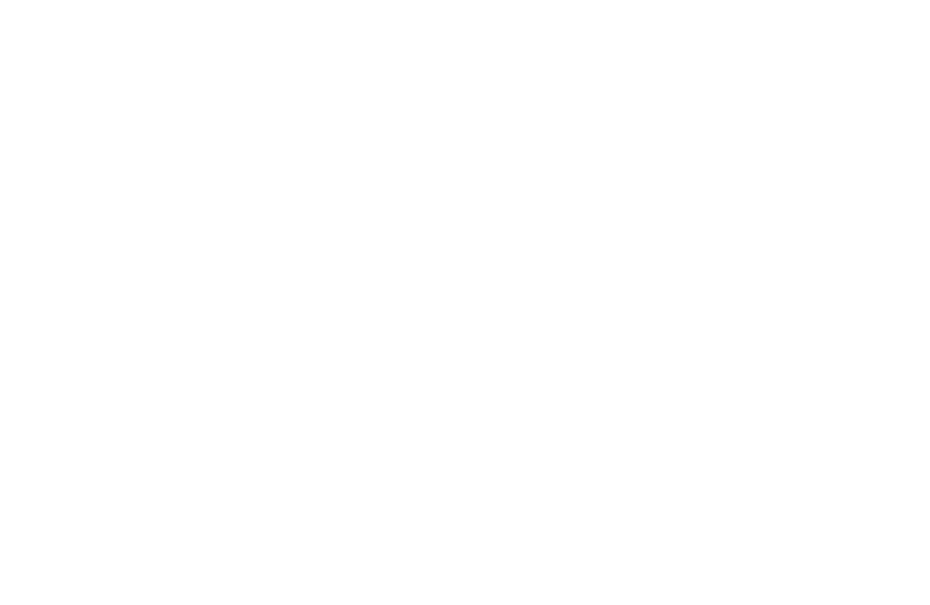РИИЛ Плюс