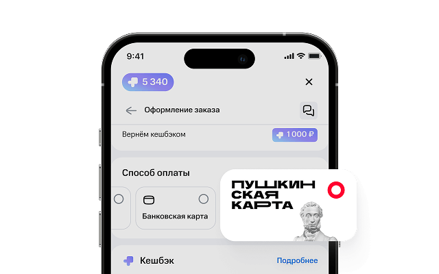 Оплата Пушкинской картой