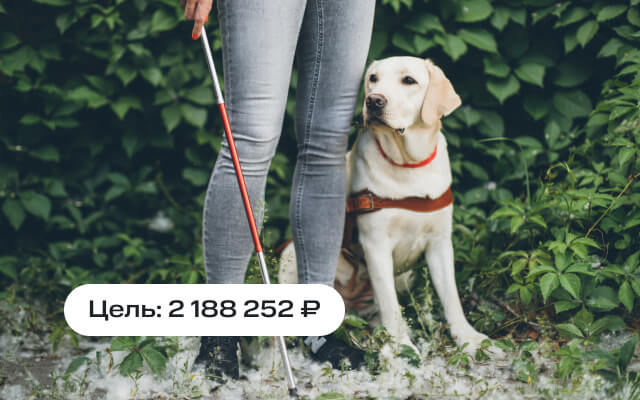 Собаки-помощники