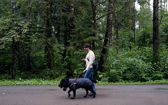 &laquo;Я&nbsp;не&nbsp;хочу торговать своей слепотой&raquo;