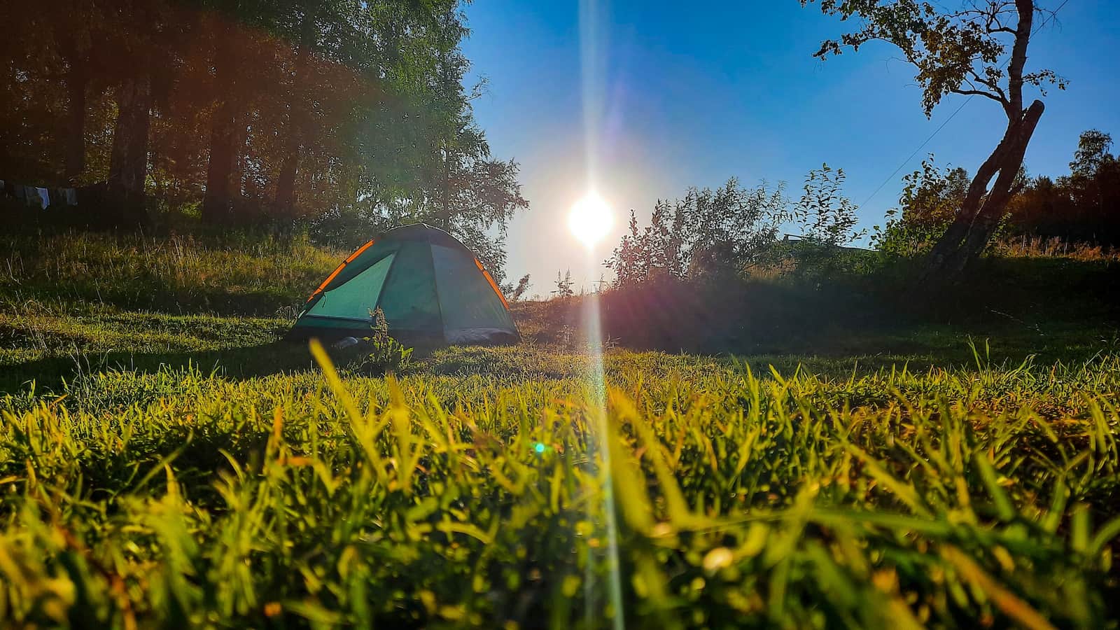 фото палатки в лесу